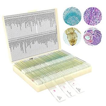 Стъклени микроскопски предметни стъкла с проби от деца, микроскопски предметни стъкла за микробиология за възрастни при деца, 100PC